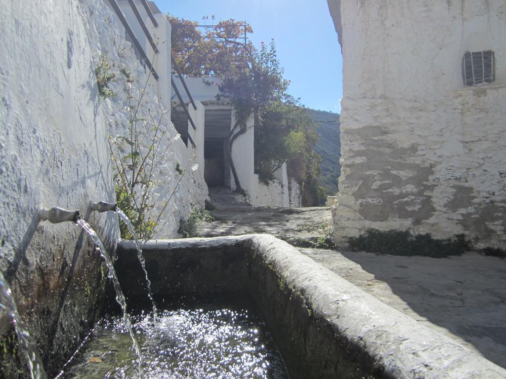Hostal Rural Las Terrazas De La Alpujarra Bubion Ngoại thất bức ảnh